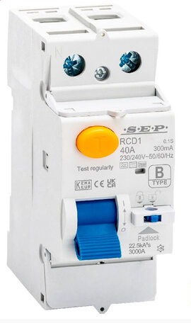 SEP RCD1 aardlekschakelaar 30mA 40A 2P Type B